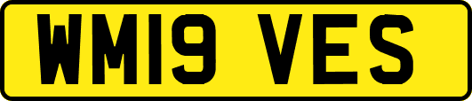 WM19VES