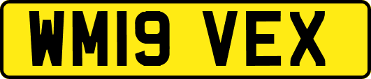 WM19VEX