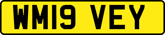 WM19VEY