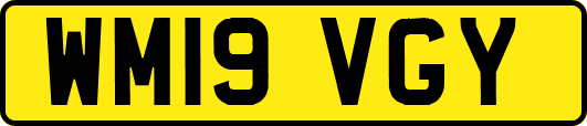 WM19VGY