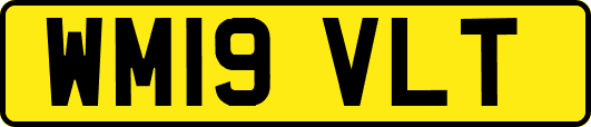 WM19VLT