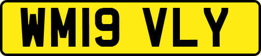 WM19VLY