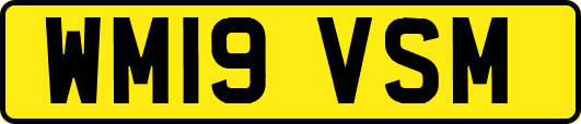 WM19VSM