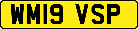 WM19VSP