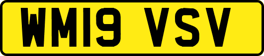 WM19VSV