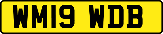 WM19WDB