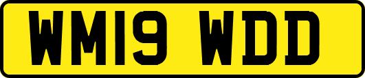 WM19WDD