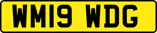 WM19WDG