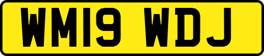 WM19WDJ