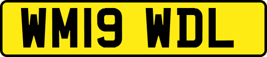 WM19WDL