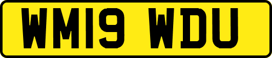 WM19WDU