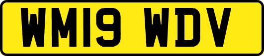 WM19WDV