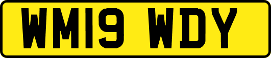 WM19WDY