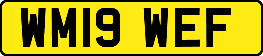 WM19WEF