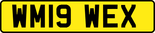 WM19WEX