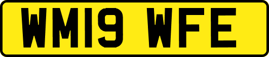 WM19WFE