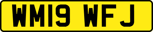 WM19WFJ
