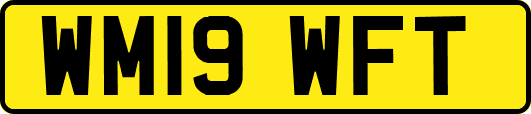 WM19WFT