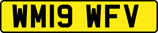 WM19WFV