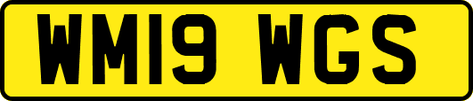 WM19WGS