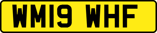 WM19WHF