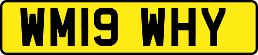 WM19WHY