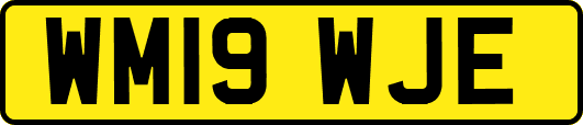 WM19WJE