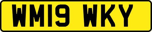 WM19WKY