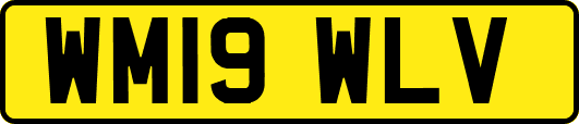 WM19WLV