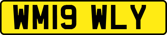 WM19WLY
