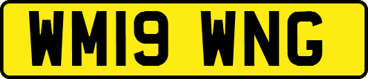 WM19WNG