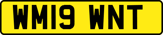 WM19WNT