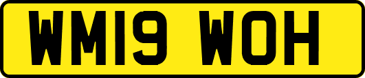 WM19WOH