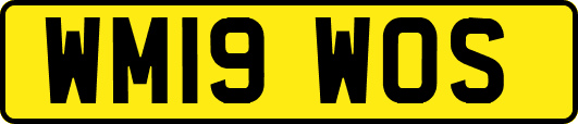WM19WOS