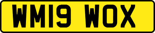 WM19WOX