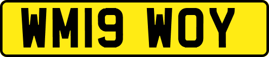 WM19WOY