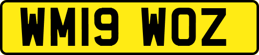 WM19WOZ