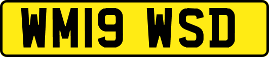 WM19WSD