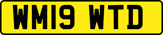 WM19WTD
