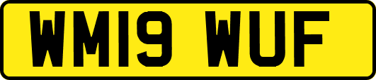 WM19WUF
