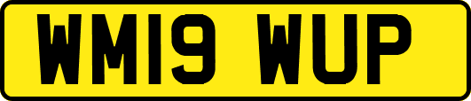 WM19WUP