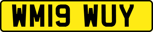 WM19WUY