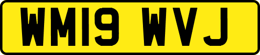 WM19WVJ