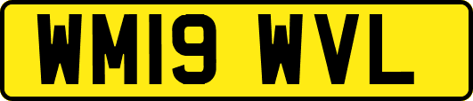 WM19WVL
