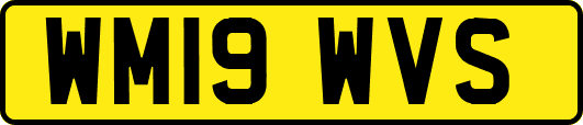 WM19WVS