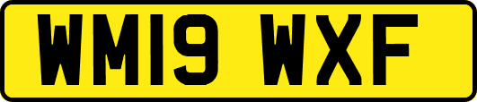 WM19WXF