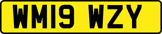 WM19WZY
