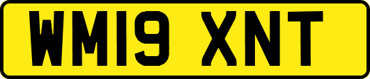 WM19XNT