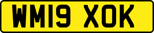 WM19XOK
