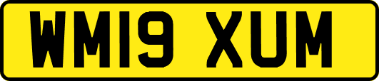 WM19XUM